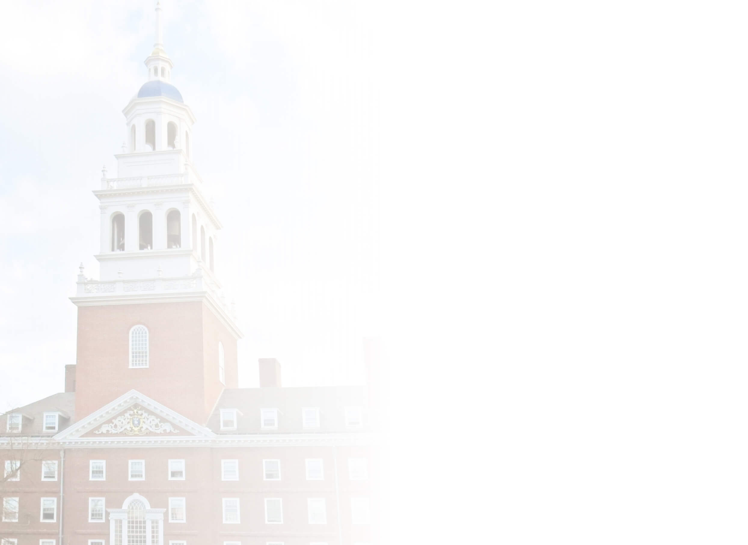 What is Veritas English Vision